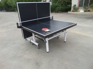 Table Tennis Table